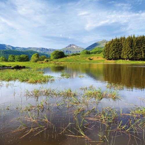 Le Relais de Poste - Ally - Nature Cantal